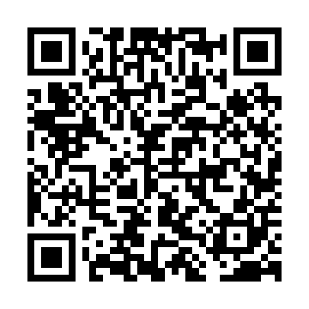 QR code for FLV200