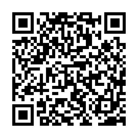 QR code for FOX313