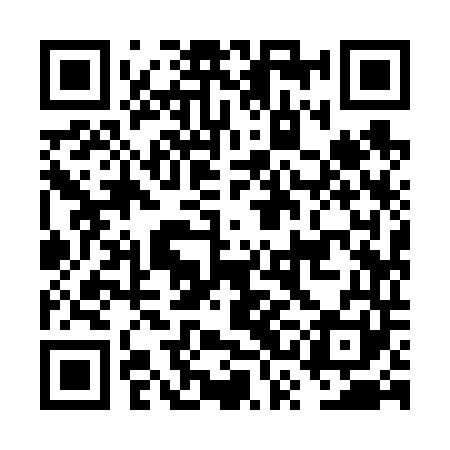 QR code for FSI641