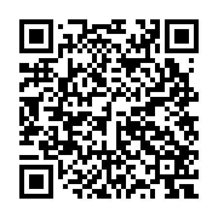 QR code for FZB306