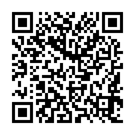 QR code for FZI993