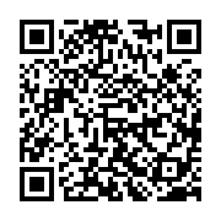 QR code for GBP919