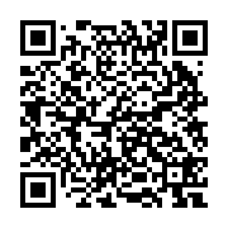 QR code for GEB228