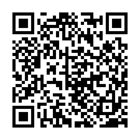 QR code for GIA333