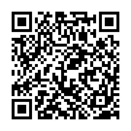 QR code for GIR317
