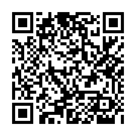 QR code for GIS449