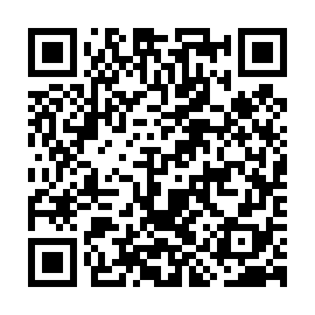 QR code for GIS478