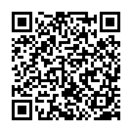 QR code for GUN241