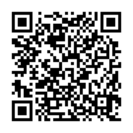QR code for HHQ384