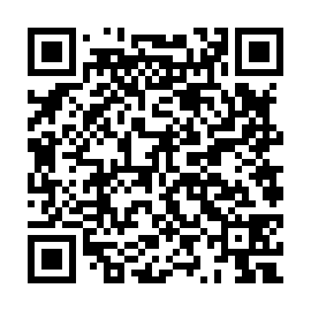 QR code for HYF838