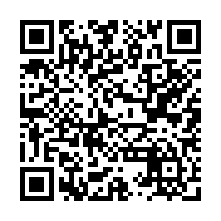 QR code for HYG385