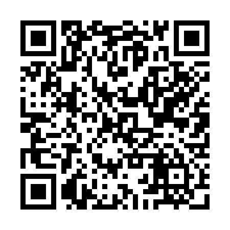 QR code for IBT335