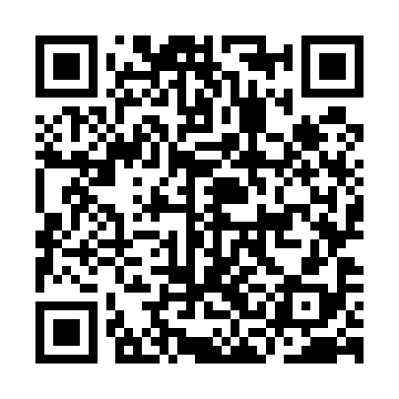 QR code for ICO598