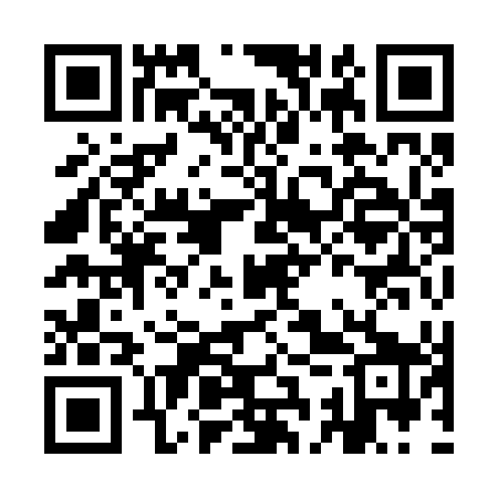 QR code for ICY249