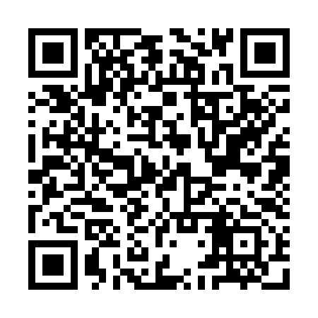 QR code for IDS393