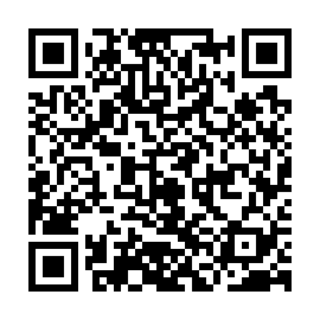 QR code for IFG729