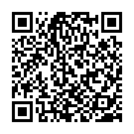 QR code for IIC338