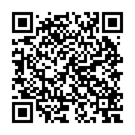 QR code for III249