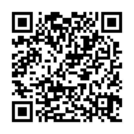 QR code for IIN225