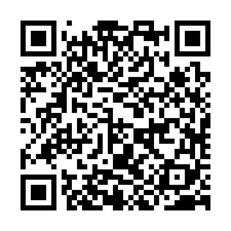 QR code for IIR369