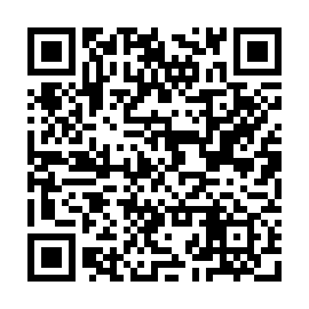 QR code for IJP379