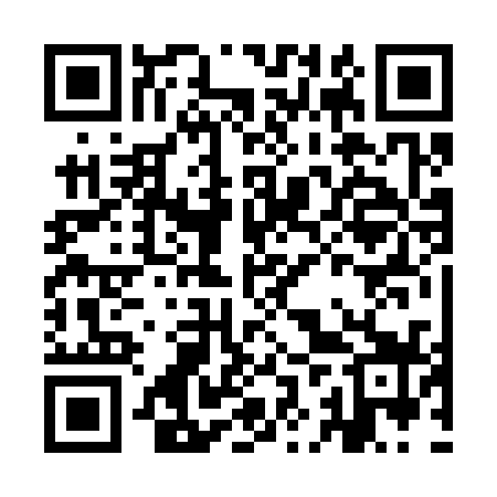QR code for IJR339