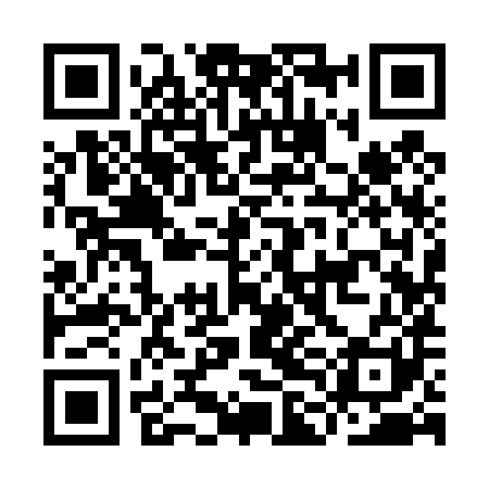QR code for ILI481
