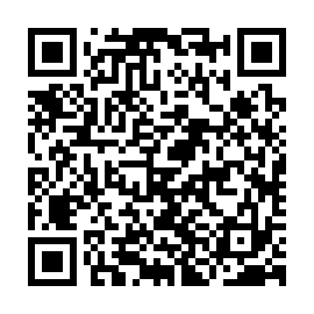 QR code for INB333