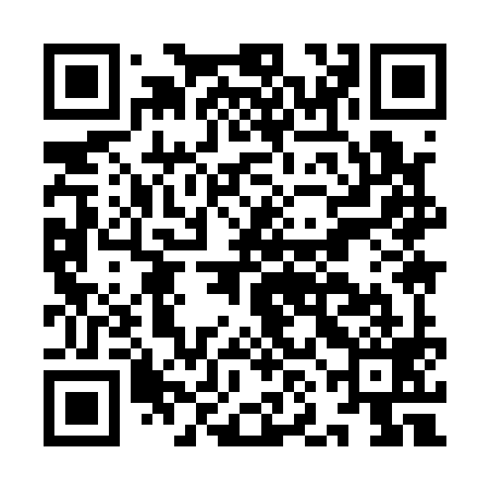 QR code for INI199