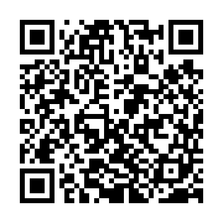 QR code for INI641