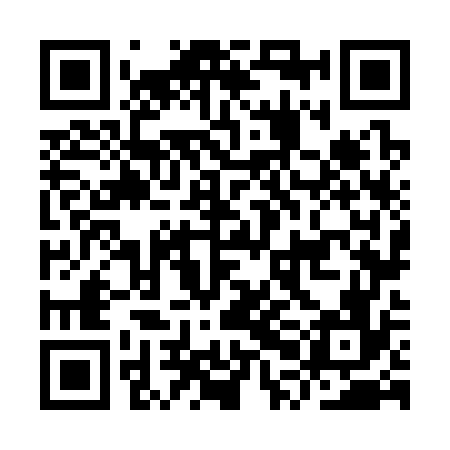 QR code for IPN376