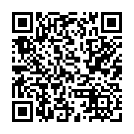QR code for IRN333