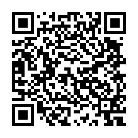 QR code for ISC491