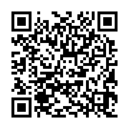 QR code for IYE333