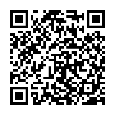 QR code for IZI291