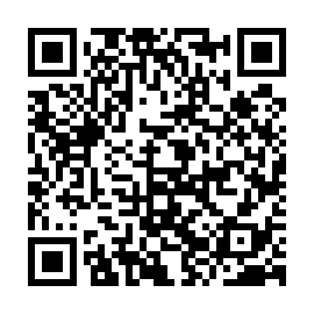 QR code for IZV538