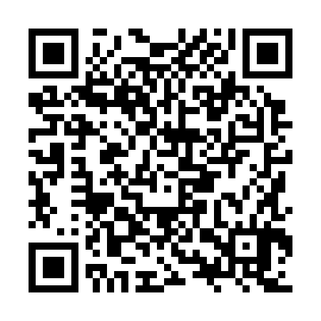 QR code for JYX384