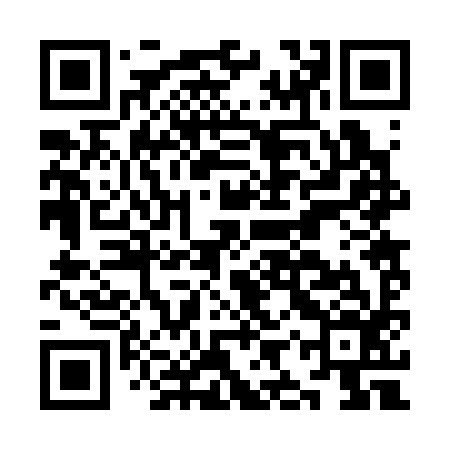 QR code for KIR396
