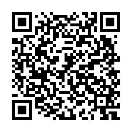QR code for LAG641
