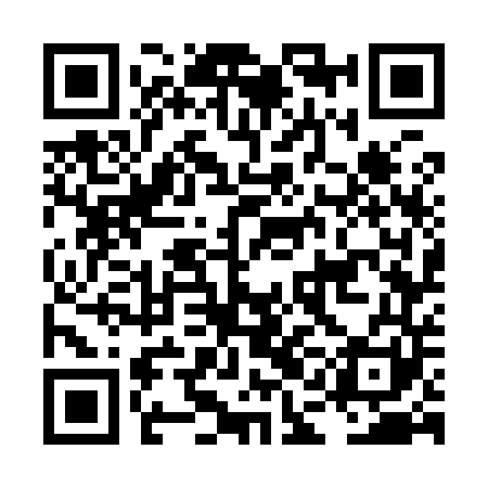 QR code for LAG941