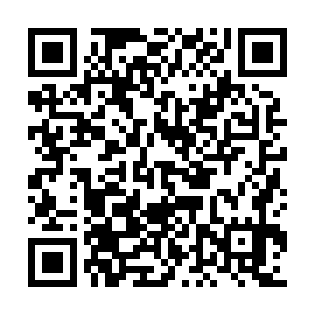 QR code for LDZ875