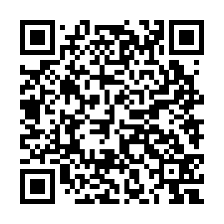QR code for LHN333