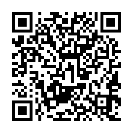 QR code for LIE951