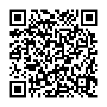 QR code for LIZ387