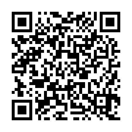 QR code for LIZ934