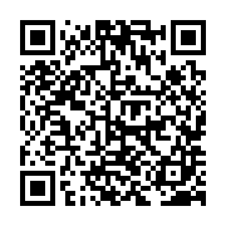 QR code for LMN383