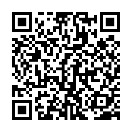QR code for LOW509