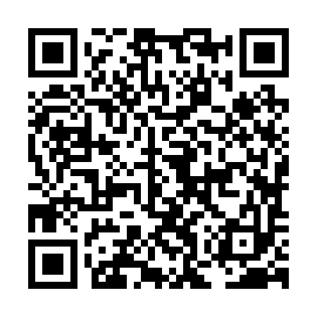 QR code for LOZ293