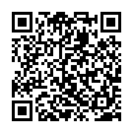 QR code for LRL294