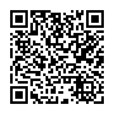 QR code for LRR393